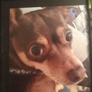 Meet your Posher, Marcia